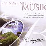 Produkt-Bild: Entspannung & Musik-Bachgefl&uuml;ster