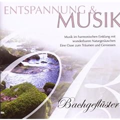 Entspannung & Musik-Bachgefl�ster