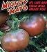 Mighty 'Mato Grafted Cherokee Purple Tomato Plant - Easy to Grow/More Fruit
