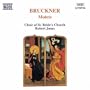 Bruckner: Motets