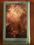The Norton Anthology of American Literature, Second Edition, Volume 2