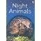 Usborne Beginner Young Readers Pre, L1 & L2