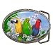 Limited Edition Violano Belt Buckle Macaw Parrot Eclectus