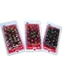Goody Large Twinbead 12pcs Model #22196