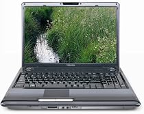 Toshiba Satellite P305-S8904 17.0-Inch Laptop