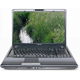 Toshiba Satellite P305-S8904 17.0-Inch Laptop