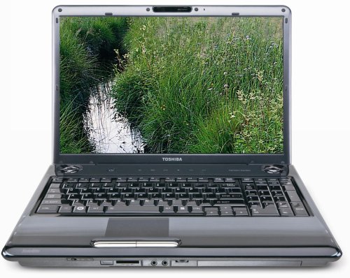 Toshiba Satellite P305-S8904 17.0-Inch Laptop