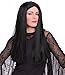 Rubie's Costume The Addams Family Deluxe Morticia Wig