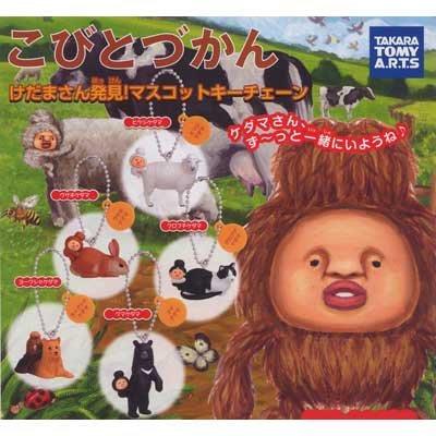 �J�v�Z��&nbsp;���тƂÂ���&nbsp;�����܂��񔭌�!�}�X�R�b�g�L�[�`�F�[��&nbsp;�S5��Z�b�g