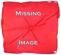 Georgia - Floor Pillow - SEC Conference