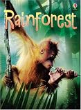 Rainforest (Usborne Beginners)