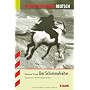 Interpretationshilfe Deutsch / Der Schimmelreiter von Theodor Storm