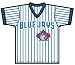 V-Neck Blue Jays Adult Pinstri