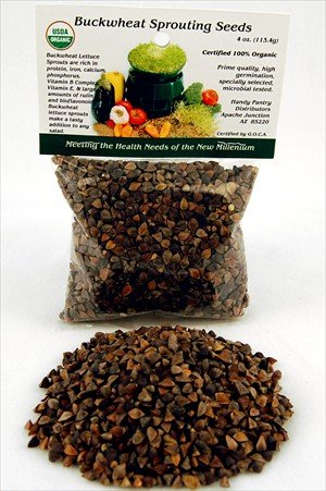 515-PYfdLWL._SL500_ Certified Organic Buckwheat Sprouting Seed: 1/4 Lb. (4 Oz.) of Buckwheat Seeds for Sprouting, Cooking, Garden, Hydroponics, Salad Greens & More. Grow Your Own Sprouts Fun & Better Health. Buckwheat Sprouts Are Rich in Protein, Iron, Calcium, Phosphorous, Vitamin B Complex, Vitamin E and Large Amounts of Rutin and Bioflavonoids.