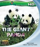 The Giant Panda [Blu-ray]