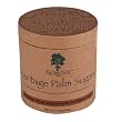 Big Tree Farms Coconut Palm Sugar with Turmeric Root, 8.5-Ounce Boxes (Pack of 3)
