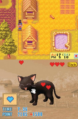 Childrens Toyshop  Video Games : Harvest Moon (Nintendo DS)