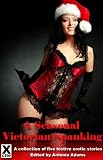 A seasonal Victorian spanking : a collection of five erotic festive stories