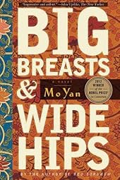 Big Breasts and Wide Hips: A Novel-Wow! eBook