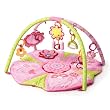 Bright Starts Pink Pretty in Pink Supreme Play Gym