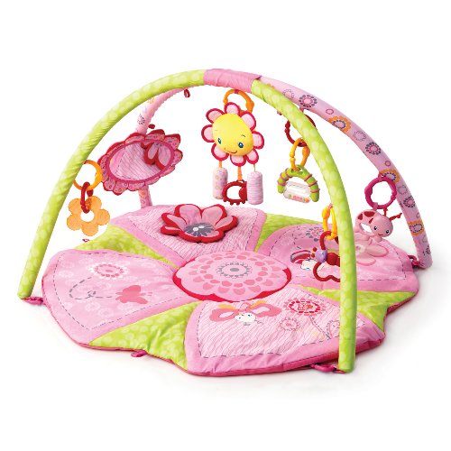 Buy Low Price KIDS II Bright Starts Pink Pretty in Pink Supreme Play Gym B000TFLMVM