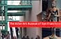 Art Spaces: The Asian Art Museum--Chong-Moon Lee Center for Asian Art & Culture