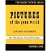 Pictures of the Gone World (City Lights Pocket Poets Series)