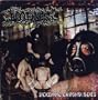 Sickening Chronologies