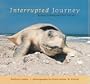 Interrupted Journey: Saving Endangered Sea Turtles