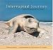 Interrupted Journey