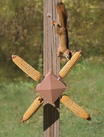 Duncraft Squirrel Twirl Feeder