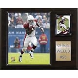 NFL San Francisco 49ers Steve Young Player Plaque