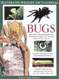 The Big Bug Book