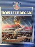 How life began