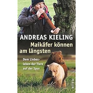 Maikäfer können am längsten: Dem Liebesleben der Tiere auf der Spur
