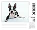 2016 Just Boston Terriers Box Calendar