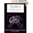 Spiders of North America: An Identification Manual