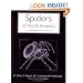 Spiders of North America: An Identification Manual