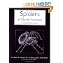 Spiders of North America: An Identification Manual