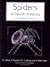 Spiders of North America: An Identification Manual