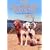 ��Ղ̗� 2 �T���t�����V�X�R�̑�`�� [DVD]