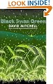 Black Swan Green :