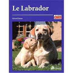 Le labrador