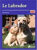 Le labrador