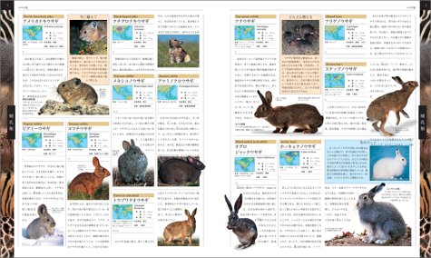 Cover image : 世界動物大図鑑―ANIMAL DKブックシリーズ