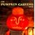 The Pumpkin Carving Book: How to Create Glowing Lanterns and Seasonal Displays