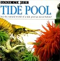 Tide Pool (Look Closer (Econo-Clad))