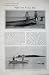 1906 Ray Hunting Spotted Moray Eel Dolphin Boat Turtle