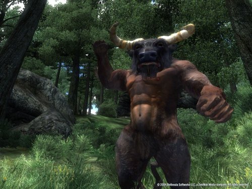 Cover image : The Elder Scrolls IV: Oblivion Game of the Year Edition(輸入版:北米)