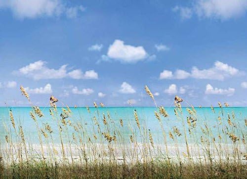 Washington DS8058 Hamptons